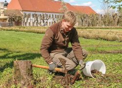 Ein Mann pflanzt im Herrengarten des Stifts Reichersberg einen Baum, um die Aufforstung zu unterstützen.