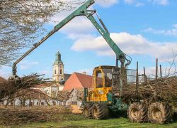 Ein Traktor führt Baumpflegearbeiten im Herrengarten von Stift Reichersberg vor historischer Kulisse durch.